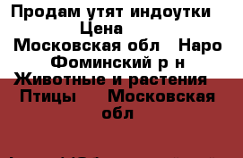 Продам утят индоутки.   › Цена ­ 350 - Московская обл., Наро-Фоминский р-н Животные и растения » Птицы   . Московская обл.